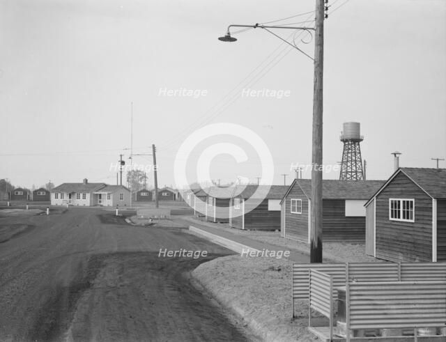 Looking down one street in newly completed FSA camp, near McMinnville, Yamhill County, Oregon, 1939. Creator: Dorothea Lange.