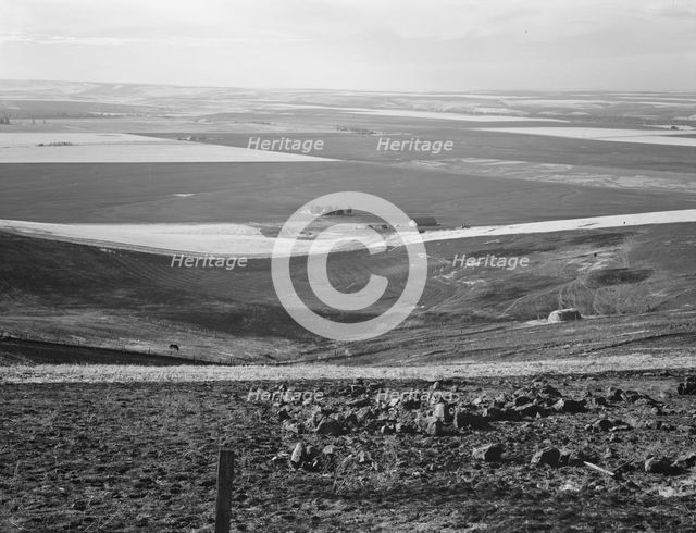 Looking down the newly plowed wheat fields of the Umatilla Valley, Oregon, 1939. Creator: Dorothea Lange.