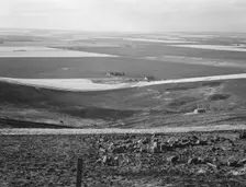 Looking down the newly plowed wheat fields of the Umatilla Valley, Oregon, 1939. Creator: Dorothea Lange