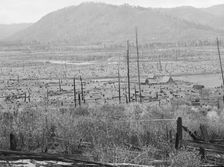 Looking down the Priest River Valley..., Bonner County, Idaho, 1939. Creator: Dorothea Lange
