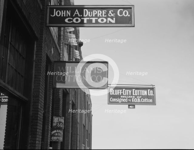 Looking down Union Avenue, Memphis, Tennessee, 1937. Creator: Dorothea Lange.