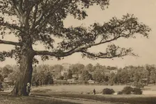 Looking from the Green Slopes of Caen Wood Towards the Church Spire of Old Highgate c1935. Creator: Unknown