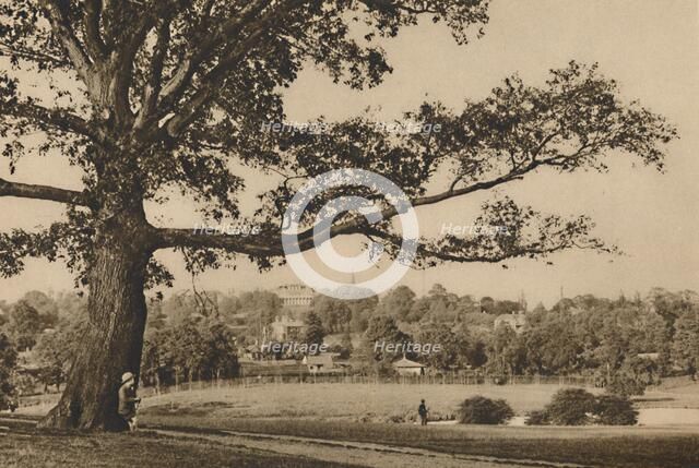 'Looking from the Green Slopes of Caen Wood Towards the Church Spire of Old Highgate', c1935. Creator: Unknown.
