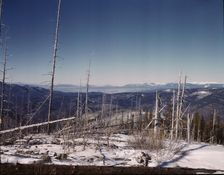 Looking north from the Sangre de Cristo Mountains above Penasco, New Mexico, 1943. Creator: John Collier
