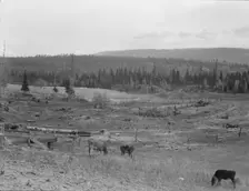 Looking over the Unruf farm from the barn, Boundary County, Idaho, 1939. Creator: Dorothea Lange