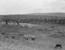 Looking over the Unruf farm from the barn, Boundary County, Idaho, 1939. Creator: Dorothea Lange