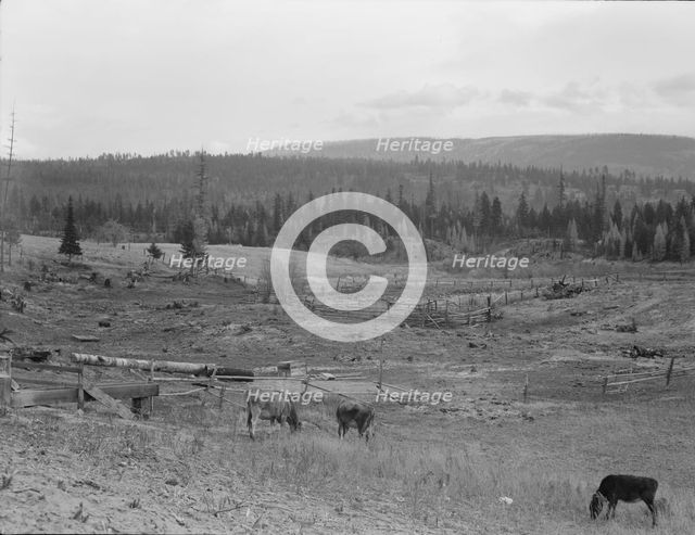 Looking over the Unruf farm from the barn, Boundary County, Idaho, 1939. Creator: Dorothea Lange.