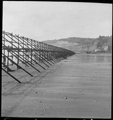 Looking south along a line of Admiralty scaffolding, Shanklin beach, Isle Of Wight, 1940-46. Creator: George R Long