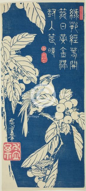 Loquat and bird, c. 1830/44. Creator: Ando Hiroshige.