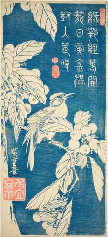 Loquat and bird, early 1830s. Creator: Ando Hiroshige