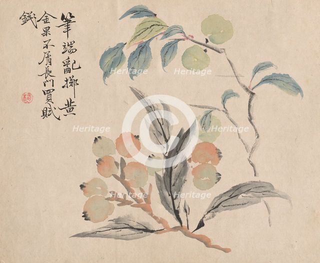 Loquat Tree of Japan. Creator: Tsubaki Chinzan (Japanese, 1801-1854).