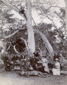 Lord and Lady Curzon and party posing with dead tiger, Nekonda, India, 1902. Creator: Unknown