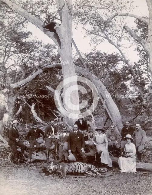 Lord and Lady Curzon and party posing with dead tiger, Nekonda, India, 1902. Creator: Unknown.