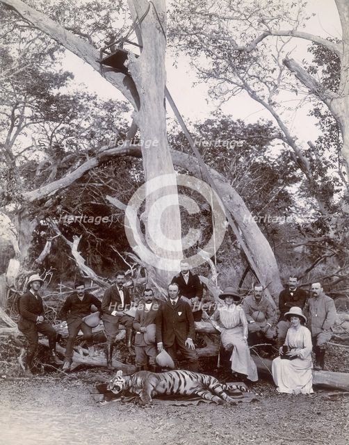 Lord and Lady Curzon and party posing with dead tiger, Nekonda, India, 1902. Creator: Unknown.