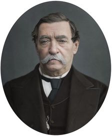 Lord Napier of Magdala, 1878. Artist: Lock & Whitfield