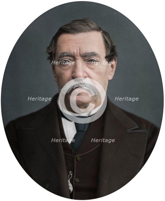 Lord Napier of Magdala, 1878. Artist: Lock & Whitfield.
