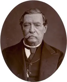 Lord Napier of Magdala, 1878. Creator: Lock & Whitfield