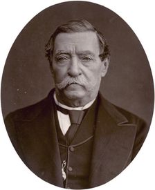 Lord Napier of Magdala, 1878. Creator: Lock & Whitfield