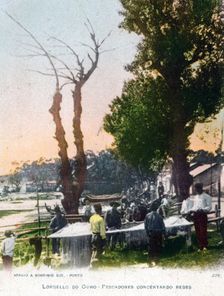 Lordelo do Ouro, near Porto, Portugal, 1903