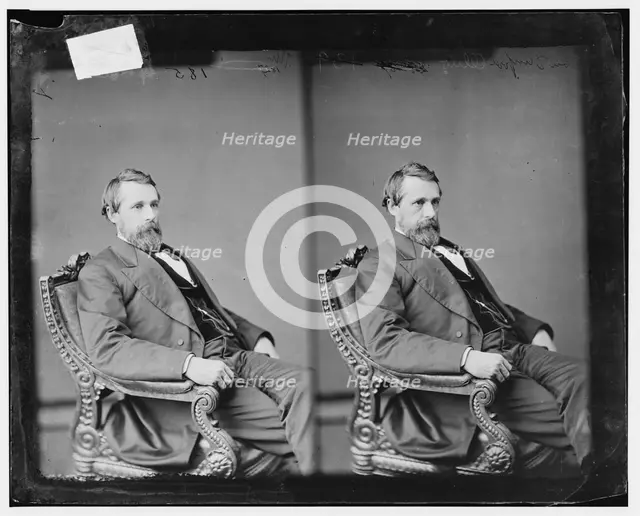 Lorenzo Dow Danford of Ohio, between 1865 and 1880. Creator: Unknown.