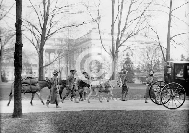 Los Angeles Hikers Who Brought White Plague Cure To President Wilson, at White House, 1914. Creator: Harris & Ewing.