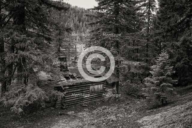 Lost and Forgotten. Creator: Joshua Johnston.