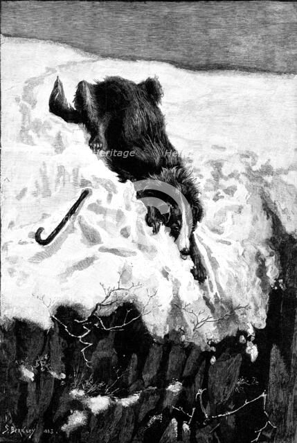 Lost!, drawn by S. Berkley, 1883. Creator: Eugène Froment.