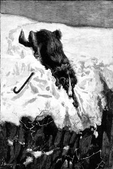 Lost!, drawn by S. Berkley, 1883. Creator: Eugène Froment