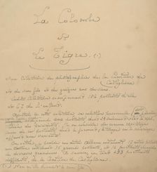 La Colombe et Le Tigre. Ma collection de photographies de la Comtesse de Castiglione, 1860s. Creator: Pierre-Louis Pierson
