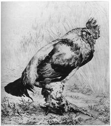 La Coq c1850-1910, (1924).Artist: Felix Bracquemond
