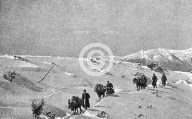 'La campagne d'hiver en Orient; Dans les neiges du Paljokrimero, entre Santi-Quaranta..., 1917. Creator: Unknown.