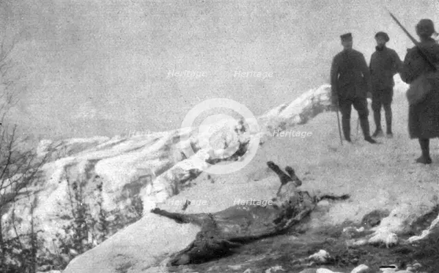 'La campagne d'hiver en Orient; Victime de la route: un ane mort d'epuisement, a demi..., 1917. Creator: Unknown.