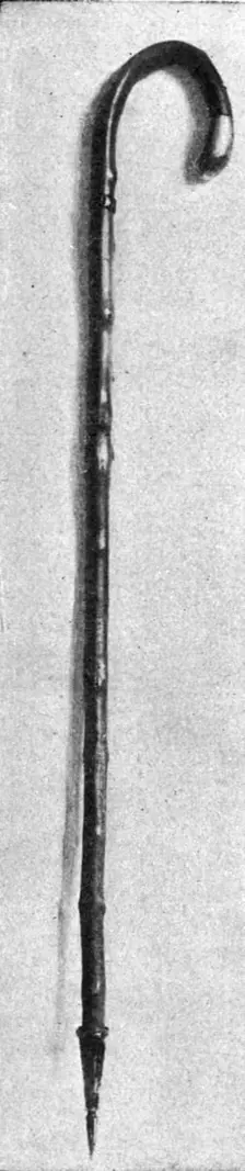 La canne du lieutenant-colonel Driant 1916. Creator: Unknown