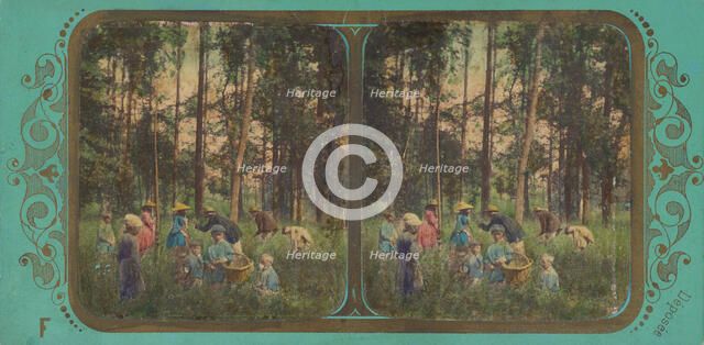 La Chasse aux Coquelicots., about 1855. Creator: Fraget & Viret.