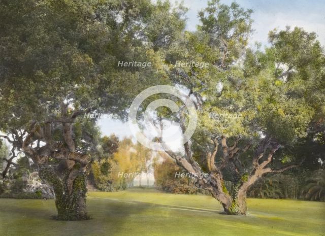"La Chiquita," Francis Townsend Underhill house, Channel Drive, Montecito, California, 1917. Creator: Frances Benjamin Johnston.