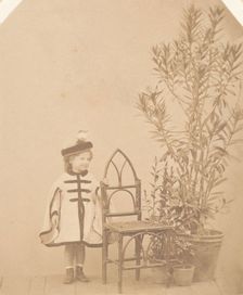 La ?aurier rose, 1860s. Creator: Pierre-Louis Pierson