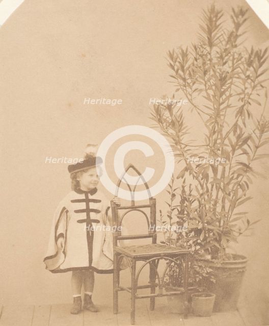 La ?aurier rose, 1860s. Creator: Pierre-Louis Pierson.