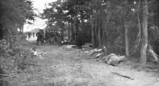 'La Bataille de la Marne; Les chemins de la retraite ennemie semes d'equipements et de morts 1914 Creator: Unknown