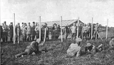 La Bataille de la Somme; Group d'officiers allemands prisonniers: celui de gauche, la face..., 1916 Creator: Unknown