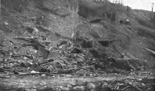 La Bataille de la Somme; Un chemin creux a la lisiere du Bois de Hem apres les combats 1916. Creator: Unknown