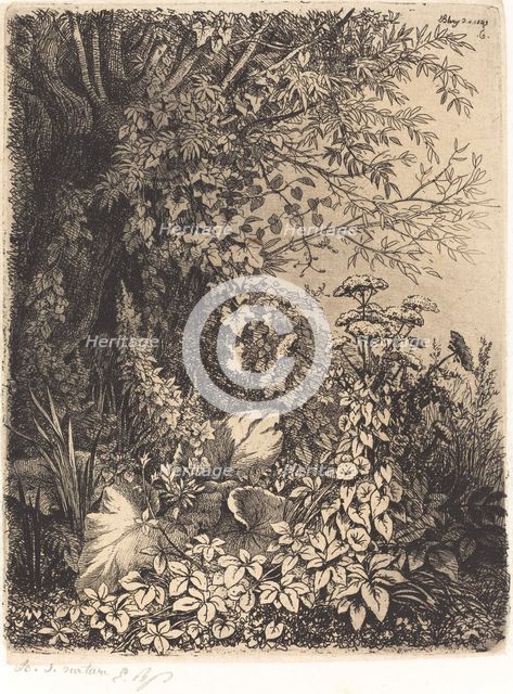 La bardane au saule (Burdock with Willow), published 1849. Creator: Eugene Blery.