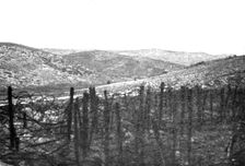 La grande attaque du Carso (aout 1916); Sur le Carso de Monfalcone: massif du Mont Cosich 1916 Creator: Unknown