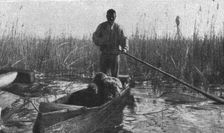 La guerre aerienne en Macedoine Grecque : un avion ennemi "Descendu" dans le lac amatovo..., 1916. Creator: Unknown