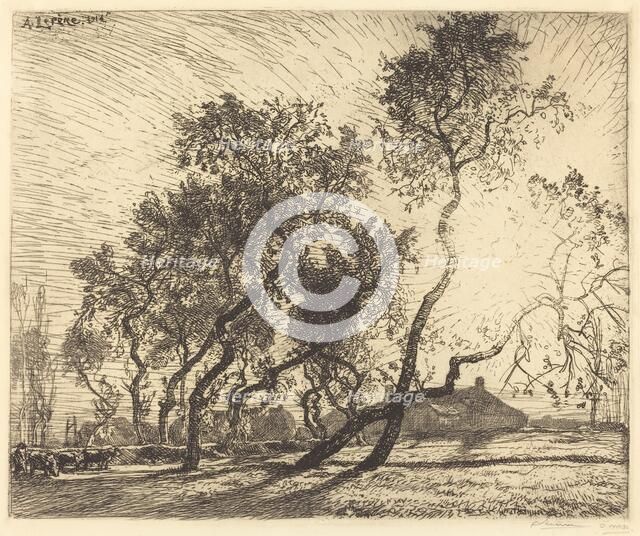 La Ferme aux peupliers de Hollande, 1914. Creator: Auguste Lepere.