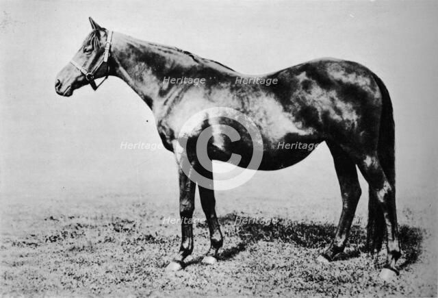 'La Fleche', 1889-1911, (1911). Artist: Unknown.