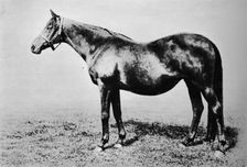 La Fleche 1889-1911, (1911)