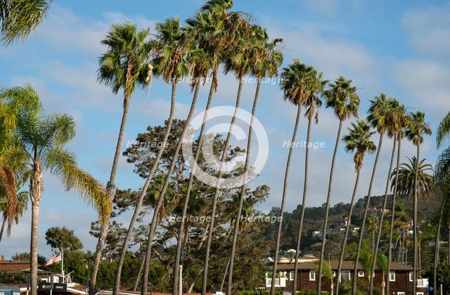 La Jolla, California, USA, 2022. Creator: Ethel Davies.