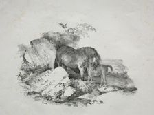 La Jument et son poulain. Creator: Théodore Géricault (French, 1791-1824)
