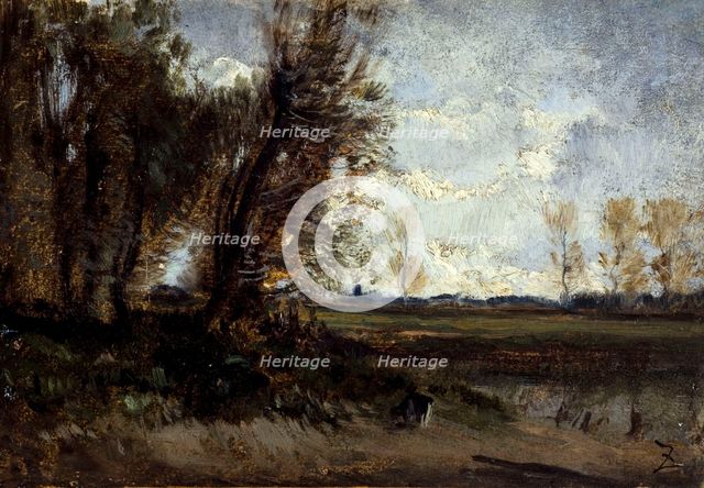 La mare, between 1850 and 1860. Creator: Felix Francois Georges Philibert Ziem.