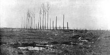 La seconde bataille d'Ypres; Un champ laboure par les obus a l'entrée de Langemarck, 1915. Creator: Unknown